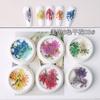 Belleza de uñas en línea, popular fototerapia de flores secas tridimensionales, decoraciones de uñas, flores reales de color natural, pegatinas de uñas de múltiples especificaciones