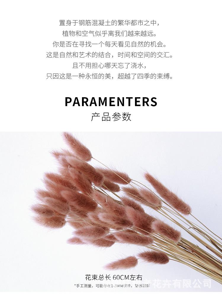 中文1688_05