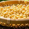 Soja Orgânica Dahan Yuan da Mongólia Interior 330g, Feijões para Consumo, Grãos, Grãos Integrais, Direto da Fábrica de Origem, Em Estoque Atacado
