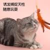 Red elástica pluma de gato juguete para gato auto-mordedor y burlador juguete para gato pluma gatito auto-mordedor artículos para mascotas película de tintineo##
