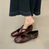 Sapatos Rasos Mary Jane Prata Estilo Francês com Tiras Cruzadas, Sapatilhas para Mulheres, Sapatos Retro Vovó para Uso Externo