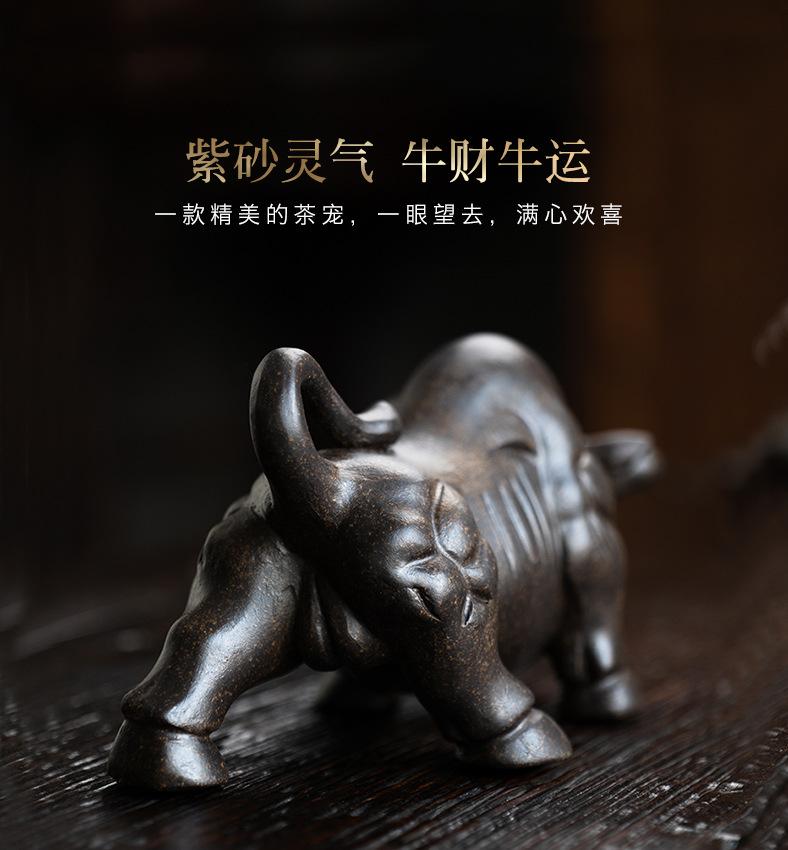 斗牛茶宠20210423 (28).jpg