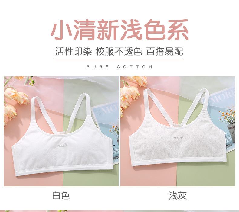 新单详情_03.jpg