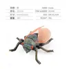Simulación Transfronteriza Modelo de Araña Real Unicornio Insecto Juguetes para Niños Mariposa Abeja Adornos de Animales
