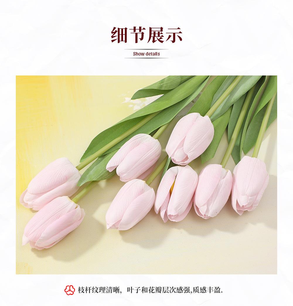 136.单枝拉菲郁金香_06.jpg