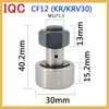IQC Rolamento de Agulhas Rolamento de Agulhas Cf6 Cf8 Cf10 Cf12 Cf16 Cf18 Cf20