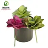 Simulación planta suculenta súper grande tamaño pequeño suculenta bonsái planta verde flor de plástico en maceta micro paisaje con pared vegetal