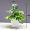 Simulación de planta verde, planta en maceta, adornos, combinación de plantas, adornos de escritorio para interior, simulación de eucalipto, flor artificial, planta bonsái
