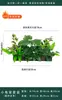Flores Artificiais Plantas Verdes Conjunto de Divisória Decorativa Flores de Plástico e Seda Decoração de Paisagismo Arranjo de Paisagem Exibição de Janela Interna