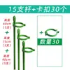 5 Hastes de Suporte para Plantas para Orquídeas, Proteção de Folhas, Monstera, Caladium, Estrutura de Suporte para Jardinagem, Fixação Antiderrapante para Flores