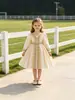 Vestidos Formales Europeos y Americanos de Comercio Exterior para Niñas, Vestidos de Princesa, Vestidos de Noche de Manga Larga, Vestidos Estampados de Florista para Actuaciones
