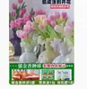Venta al por mayor de 5 bulbos de tulipán en stock, florecen en todas las estaciones, fáciles de cuidar, adecuados para cultivo hidropónico, de pétalos dobles, para cultivo en tierra o maceta en el balcón
