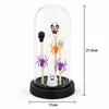 Adornos decorativos de campana de cristal para Halloween, calabaza brillante, fantasma, calavera, luz nocturna, decoración de mesa para fiesta festiva