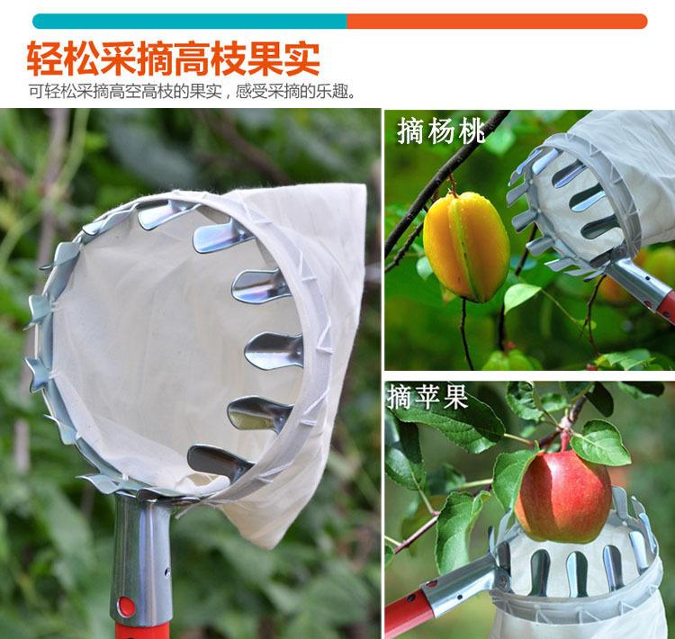 4541241534_1114247009