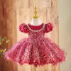 Vestido de Primeiro Aniversário para Menina Anfitriã Vestido de Princesa Infantil de Alta Qualidade Flor Rosa Daminha de Casamento Vestido para Performance de Piano de Menina