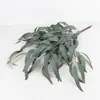Novo Produto Single 3 Garfos Folhas de Eucalipto Ramo de Folhas de Salgueiro Adereços para Fotografia de Casamento e Casa Folha de Dinheiro Planta Verde Simulação
