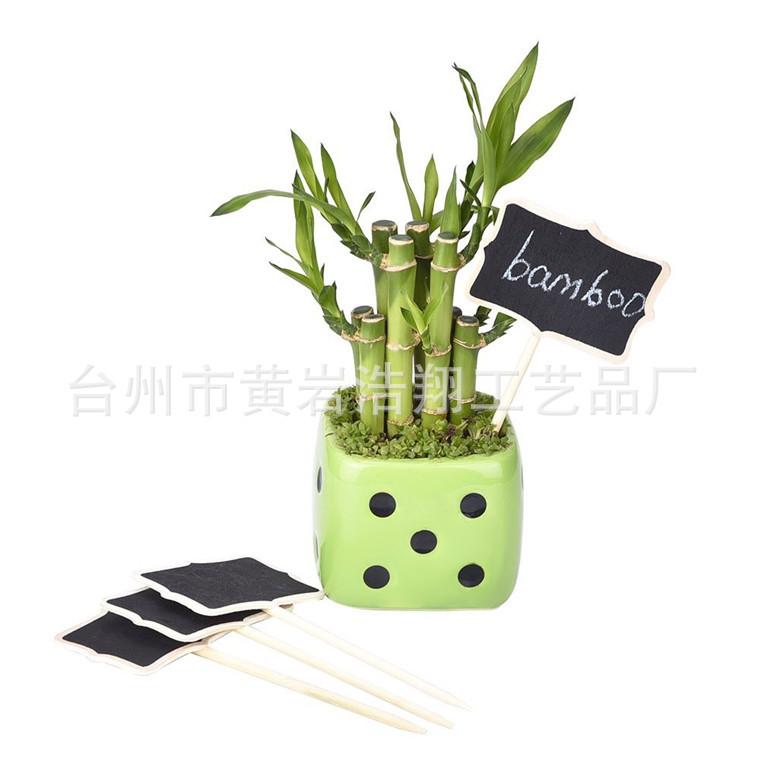 61TzLJr3isL._SL1000_