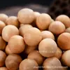Bola de Madera de Alcanfor Natural Sólida 1.8cm Cuentas Sueltas Armario Antimoho Anti-insectos A prueba de Humedad Desodorante Repelente de Insectos Cucaracha Uso Doméstico