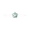 Brincos de Tarraxa Estrela de Cinco Pontas Paraíba, Cor Verde Menta, Cravação em Garra, Liga de Titânio F-136 Studs de Lábio de Zircônio, Rosca Interna de Titânio G23