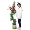 Rosas Trepadoras de 1.5 m con Aroma Fuerte, Plantas Trepadoras para el Jardín, Rosas en Maceta de Floración Multitemporada que Florecen Todo el Año