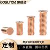 Parafusos de Solda Revestidos de Cobre, Parafusos de Solda a Ponto, Pregos de Solda de Aço Inoxidável, Studs de Solda, Colunas de Solda a Ponto M3M4M5M6M8