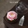 Caja de Regalo Aromaterapia Flor de Doce Diosas Porcelana Hecha a Mano con Piedra Difusora - Regalo de Alta Gama para Ancianos, Maestros, Amigos, Inauguración de Casa o Cumpleaños