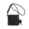 Bolso bandolera transfronterizo nuevo con estampado de lichi, un bolso cruzado elegante y versátil, perfecto para uso casual y para ir al trabajo, un bolso cuadrado pequeño y un bolso de mujer hecho a medida