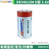 Batería de Litio Ruiyi Er34615M Medidor de Agua Inteligente Tapa de Registro Geomagnético 3.6V Caudalímetro Medidor de Gas Vortex D