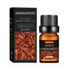 Óleo Essencial de Aromaterapia Desodorizante Transfronteiriço 10ml Máquina de Aromaterapia para Interior Fragrância Duradoura Óleo Essencial de Lavanda para Massagem