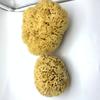 Esponja Natural Griega Decoloración Esponja de Miel-Seda Lavado Facial, Baño, Frotar y Proteger Limpieza Facial, Lavado de Algodón, No Pica