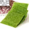 Rocalla Bonsái Plantas Mini Musgo Musgo de Pelo Blanco Micro Paisaje Botella de Vidrio Suculenta Hecha a Mano Materiales DIY