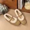 Nova coleção outono/inverno 2026: Sapatos Mary Jane de estilo retrô, confortáveis e versáteis para mulheres, com forro de fleece para aquecimento e conforto, e um design suave e delicado