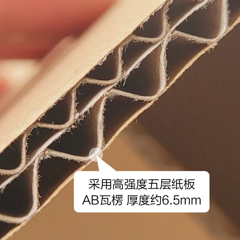 一键复制_20240603140057