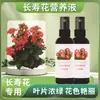 Solución Nutritiva de Caladio, Fertilizante para Floración, Fertilizante Especial para Cultivo y Promoción de Flores, Solución Nutritiva en Spray Foliar sin Diluir para Plantas