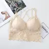 Nuevo Estilo Ropa Interior de Encaje para Mujer Espalda Hermosa Cruzada Pecho Interior Engrosado Almohadilla Sexy Base Anti-caminata Tubo Espalda Hermosa Mujer