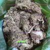 Raíz de Cebolla Verde Materiales Medicinales Chinos Raíz de Cebolla Verde Raíz de Cebolla Verde Raíz de Cebolla Verde Nuevo Artículo Raíz de Cebolla Verde Materiales Medicinales Chinos Al Por Mayor y Al Por Menor