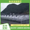 Estufa Econômica e Prática de Filme Multi-Nave para Cultivo de Mudas de Flores e Vegetais com Bom Efeito de Isolamento Térmico. Estufa de Filme