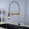 Grifo telescópico de resorte de cobre puro para comercio exterior de fabricantes, multifuncional, doble agua, universal para cocina, extraíble, grifo caliente y frío
