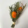 Mini pequeno flor seca vaso seco arranjo de flores buquê de flores secas decoração de casa decoração de loja padrão de decoração de porta-retrato de flor seca