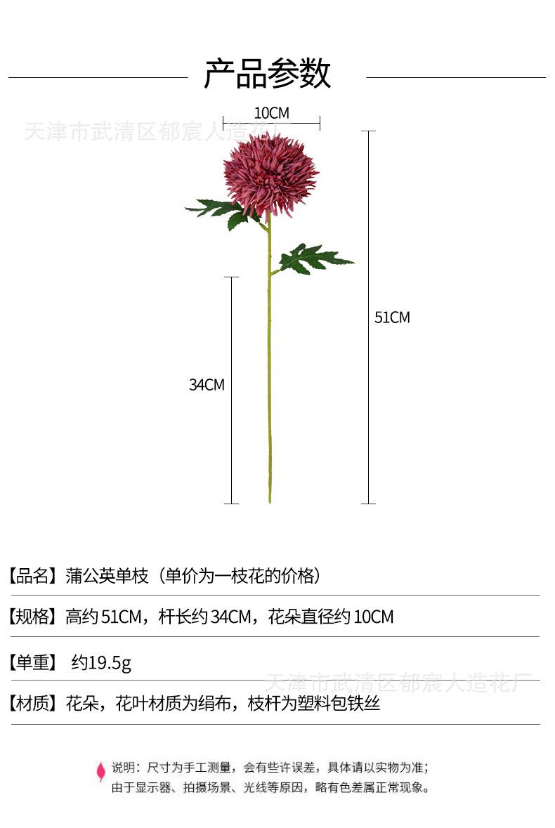详情_01.jpg