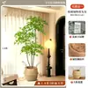 2026 Planta Verde Artificial Nandina Planta em Vaso Alto Padrão Luxo Leve Decorativa para Chão de Sala de Estar Flor Árvore Artificial Grande