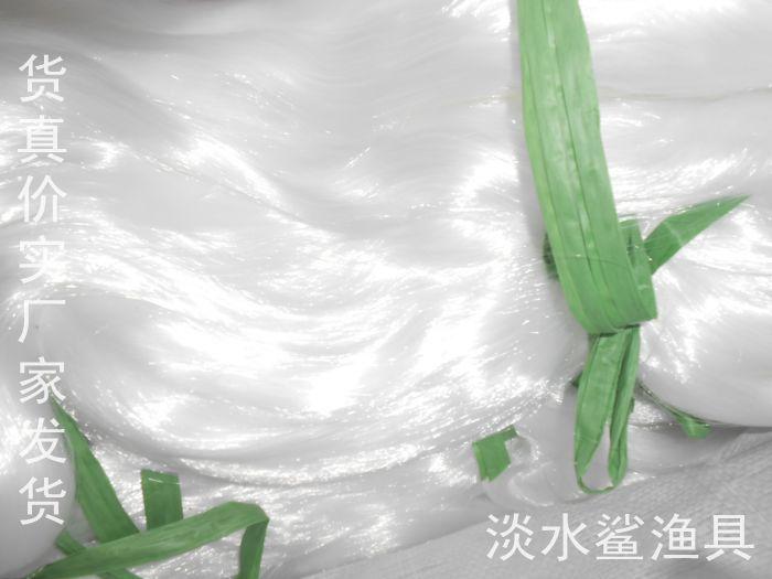 照片 049