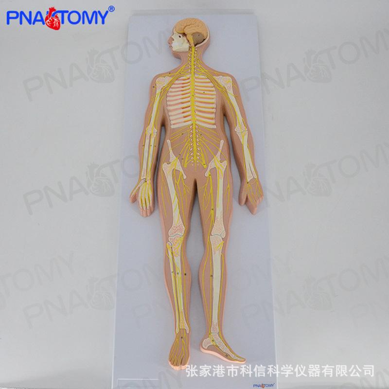 详情-2.jpg