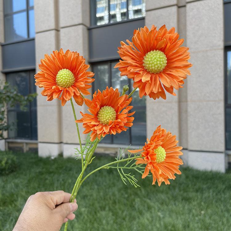 4头单支虫草花-sxwlx-桔色.JPG