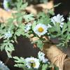 Enredadera de Margarita Girasol Pequeño Tira Artificial para Decoración de Conducto de Aire Acondicionado de Sala de Estar Cubierta de Ventana Interior Planta Verde de Alta Simulación