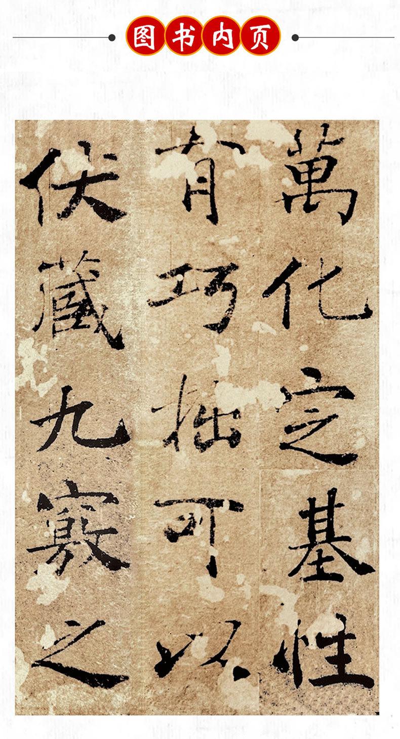 E8887-09.jpg