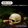 Decoración de Terrario Real Ocultación Acuario Adorno Cueva Caja de Cría Tortuga Lagarto Serpiente Araña Calavera Decorativa