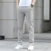 Pantalones de hombre de verano Hong Kong, finos, pierna recta, corte slim, de alta gama, modernos, versátiles, elásticos, business casual