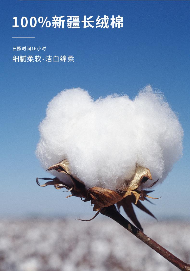 详情_04.jpg