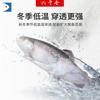 Xiaohai cebo seis mil incienso aditivo en polvo aditivo medicina pequeña pesca competitiva salvaje roba burro 80g